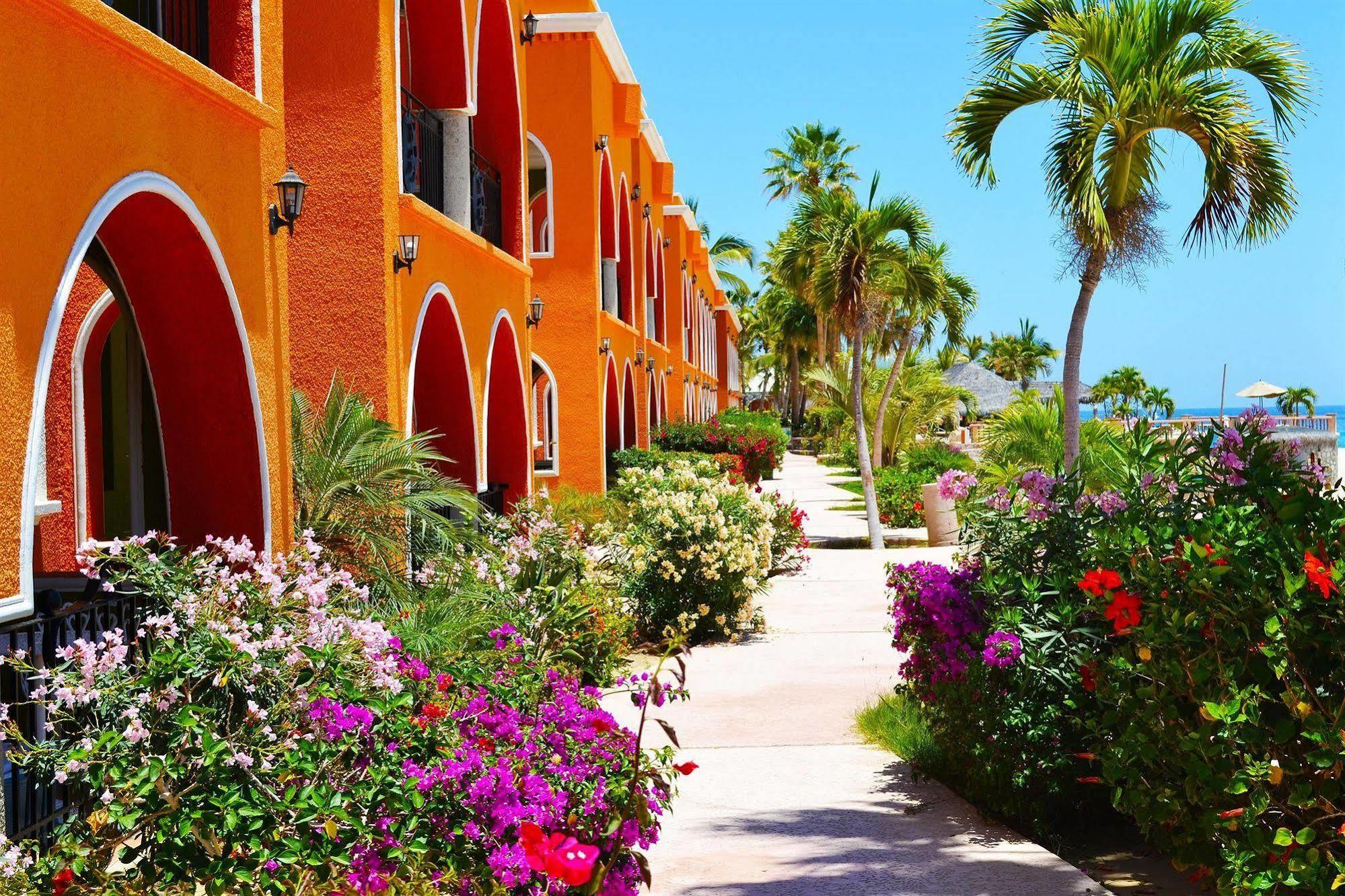 Hotel Palmas De Cortez Los Barriles Exterior photo